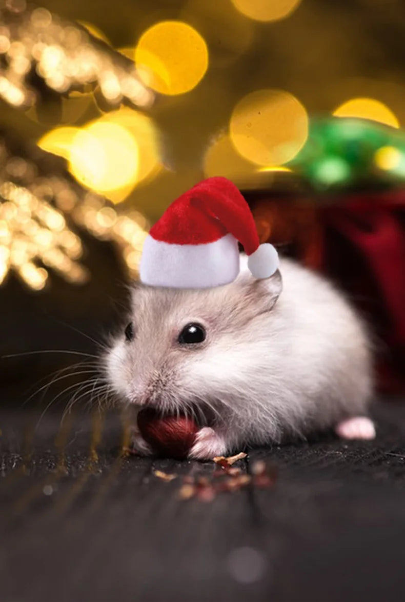 Hamster Guinea Pig Christmas Cap Costume Mini Small Pet Hat Xmas Headwear Pet Outfits for Chinchilla Rabbit Hedgehog햄스터