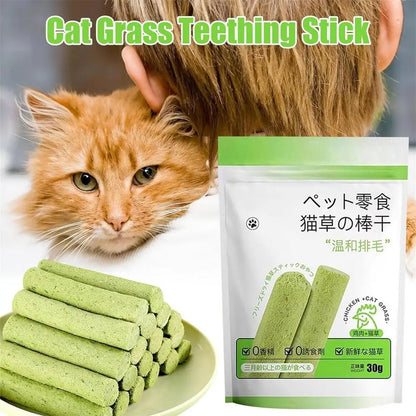 貓草棒貓草咀嚼棒天然牙齒清潔劑去除排骨幼貓寵物零食牙齒護理幼貓口腔健康