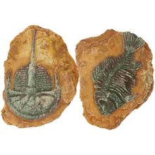 2 件仿樹脂化石壁虎爬蟲類裝飾玻璃容器適用於居家裝飾魚缸配件爬行景觀