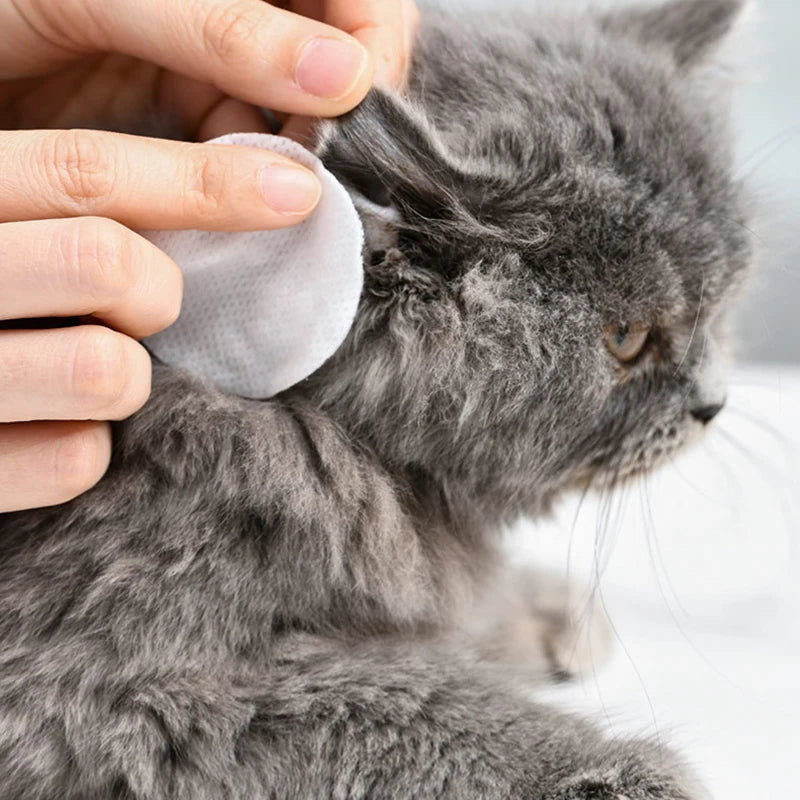 Pet Eye & Ear Cleaning Wipes for Dogs & Cats – Safe & Soft