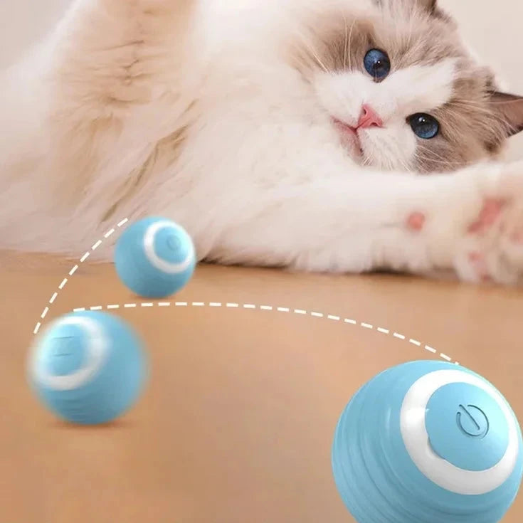 Interactive Cat Toy Ball Roll Pet Things Stuff Products Offer Supplies Games Kitten Accessories Katzen Gadgets Goods Articles