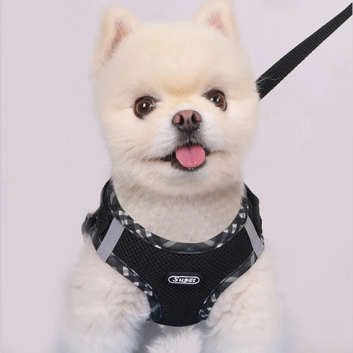 Supet 1 件組狗背帶，防拉扯，寵物背帶，可調節，易於控制，適合小型、中型犬