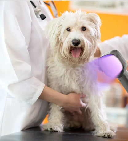 Woods Light Skin Examination For Cat Dog Ringworm Handheld UV Wood's lamp Skin Fungus Detector Vitiligo Pityriasis Versicolor