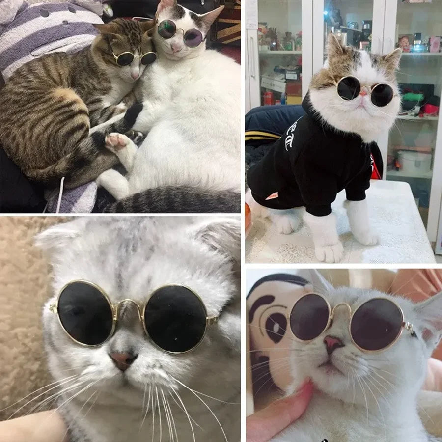 1pc Lovely Pet Cat Glasses Small Dog Glasses Pet Products for Little Dog Cat Eye-Wear Dog Sunglasses Photos Pet Accessories