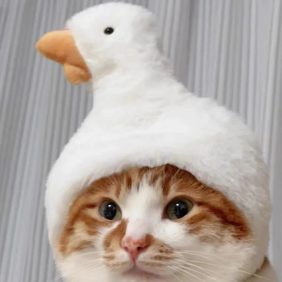 面白いペットヘッドバンド ぬいぐるみ 毛糸 猫 犬 キャップ パンダ 豚 ペット 暖かい ペット帽子 ひよこ コスプレ用品 ヘッドドレス コスチューム