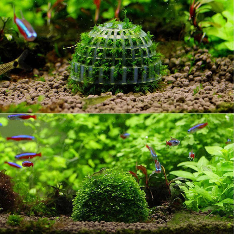 Plastic Aquarium Moss Ball Filter Aquatic Pet Supplies Decorations For Shrimps Fish Tank Pet Products Fish Tank Decor
