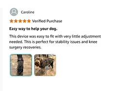 Foldable Pet Stroller Trolley Carrier With Wheels 3 Wheels Pet Strolling Cart For Small/Medium Dogs And Cats With Storage Basket
