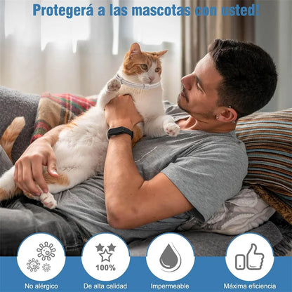 SEISSO Antiparasitic Collar for Dogs 8 Months of Protection Collar Protects Dogs and Cats from Fleas  Lice Mosquitoes Larvae