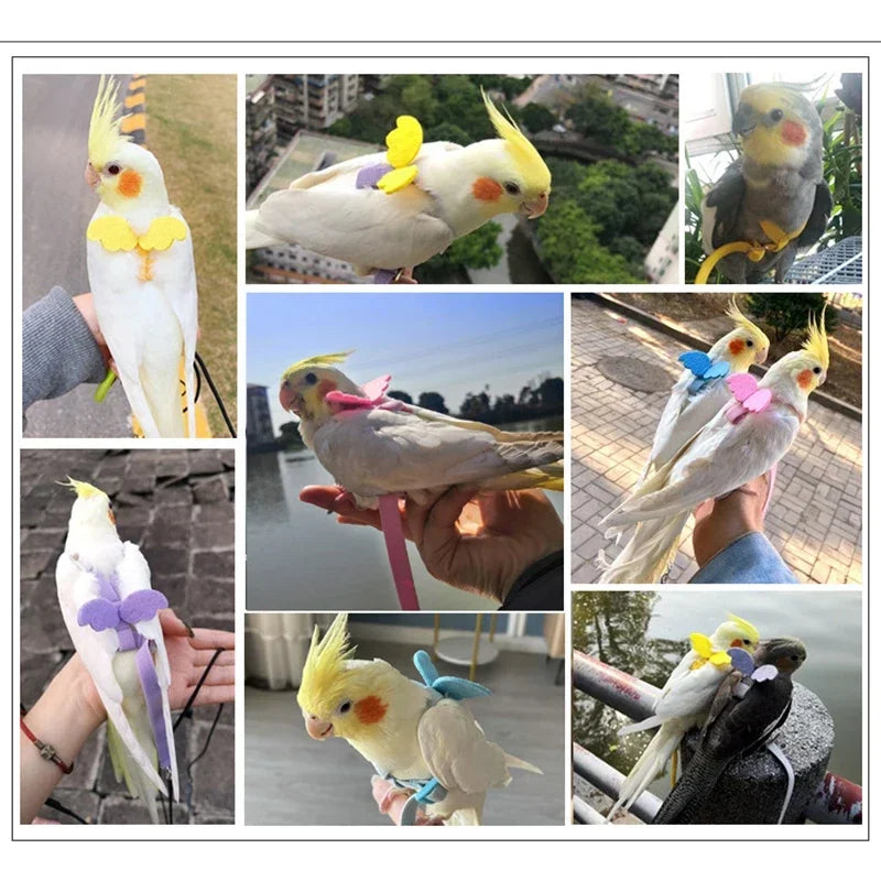 Bird Flying Harness Leash Suit Long Cable Bird Harness Leash Anti-Bite Training Rope Decorative small Parakeet Parrot Vest Rope