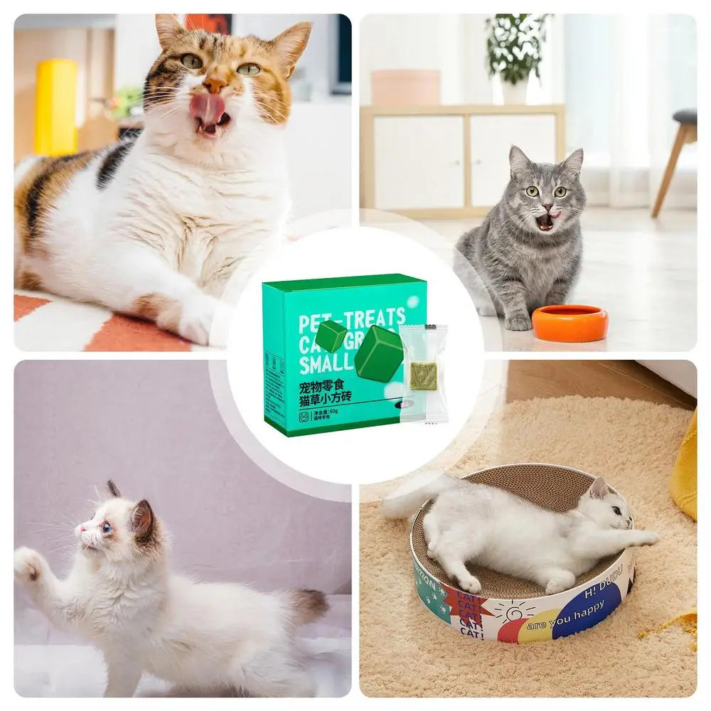 60g Cat Teeth Edible Catnip Toy Cat Grass Snack Natural Freeze Dried Pet Teething Molars Stick Natural Grass Snack for Cat