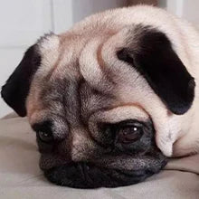 Poursweet 犬用舐めマット 吸​​盤付き スローフィーダー ペットの不安解消 猫の食事、ヨーグルト、ピーナッツバターのトレーニングに