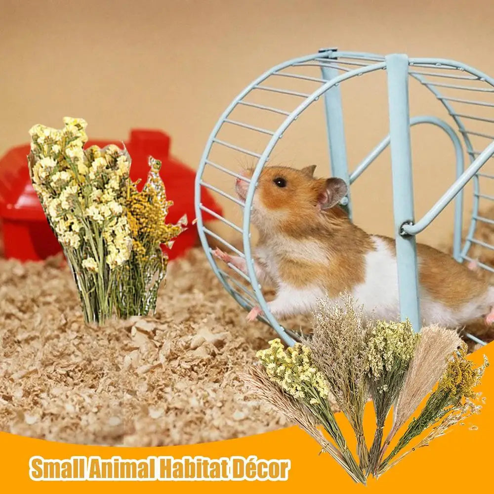 Nature Flower Herb Hamster Bedding Decor Hamster Habitat Decor Hamster Cage Supplies For Hamsters Gerbils Rabbit Other Small Pet