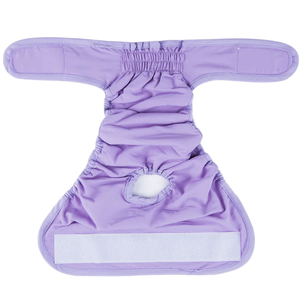 Reusable Female Dog Diapers – Washable, Absorbent & Leakproof