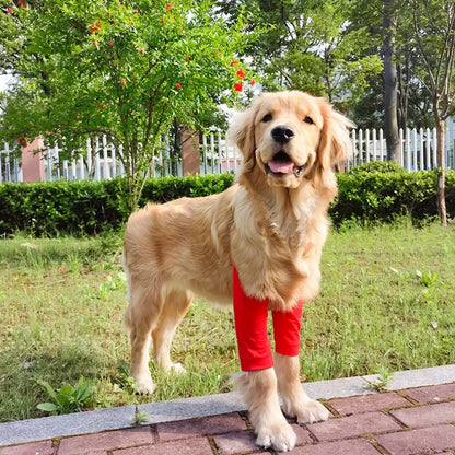 犬用肘プロテクター 肘ブレースパッド 中型犬・大型犬用 犬用膝パッド 衣類関節保護カバー 耐摩耗性 ペット用品