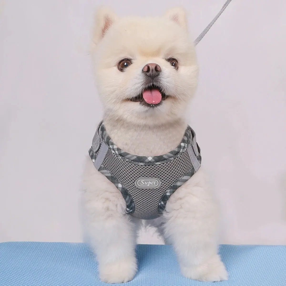 Supet 1 件組狗背帶，防拉扯，寵物背帶，可調節，易於控制，適合小型、中型犬