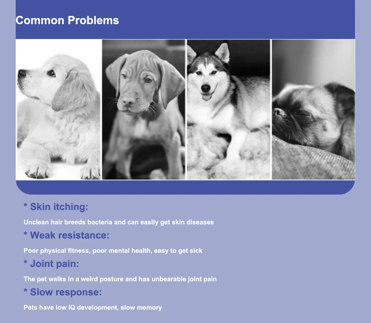 300ml Vet-Recommended Salmon Oil Liquid for Pets Reduces Shedding, Boosts Immunity & Joint Health, Shiny Coat & Heart Function
