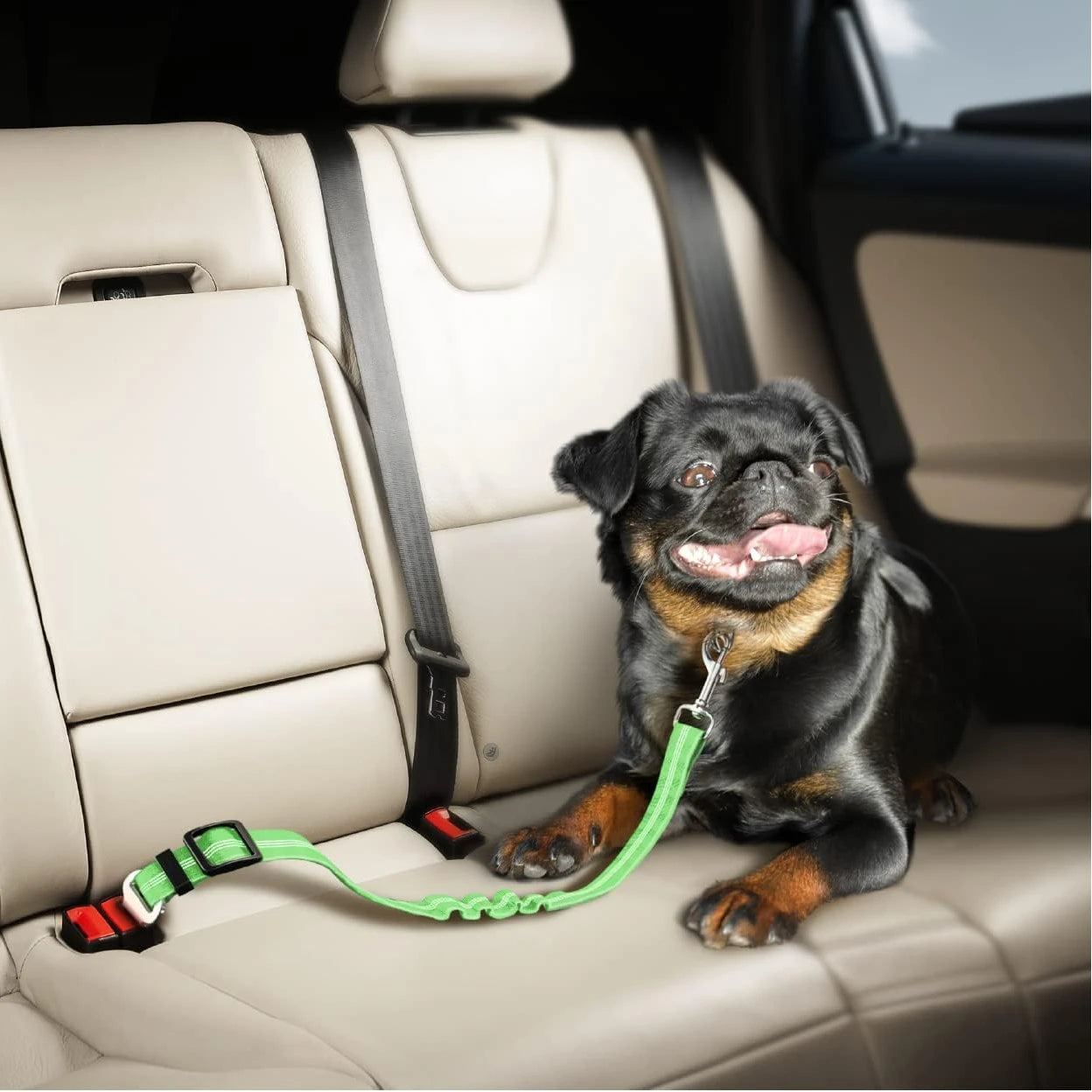 Universal Adjustable Cat Dog Seat-Belt Elastic & Reflective Vehicle Nylon Seat Belt for Small Medium Large Dog,Pet Accessoires