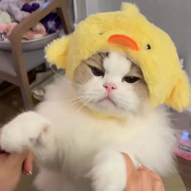 面白いペットヘッドバンド ぬいぐるみ 毛糸 猫 犬 キャップ パンダ 豚 ペット 暖かい ペット帽子 ひよこ コスプレ用品 ヘッドドレス コスチューム