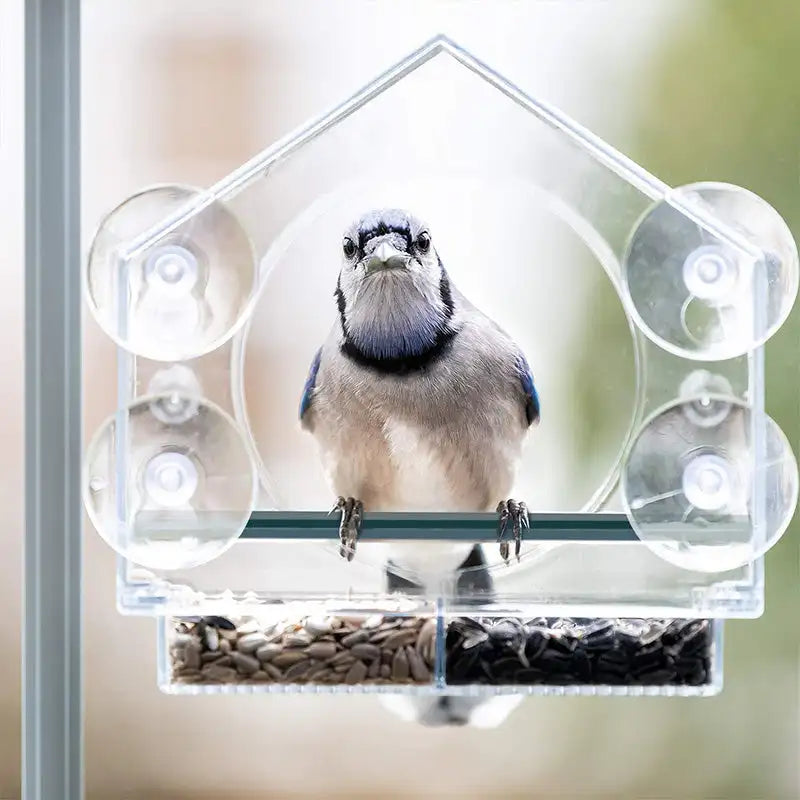 Transparent Acrylic  Window Bird Feeder Hanging Bird Feeder House with Suction Cup for Garden Outdoor Backyard Wildlife Birding