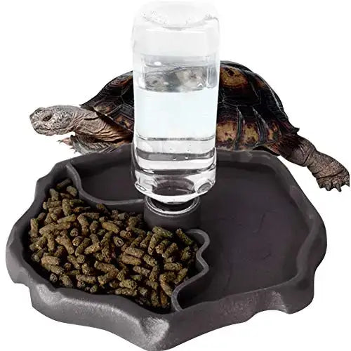 Reptile Feeders Waterer Automatic-refilling Turtle Water Dispenser Bottle Tortoise Food Water Bowl Feeding Dish for Lizards