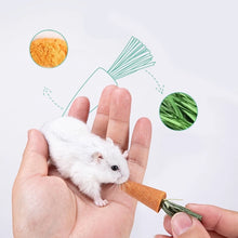 Guinea Pigs Hamster Rabbit Teeth Fruit Grinding Biscuit Small Pet Chew Toy Drop Shipping