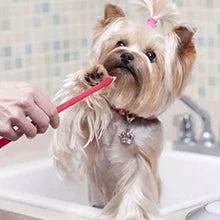 Poursweet 犬用舐めマット 吸​​盤付き スローフィーダー ペットの不安解消 猫の食事、ヨーグルト、ピーナッツバターのトレーニングに