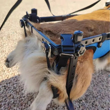 ペット用車椅子 犬用車椅子 後肢麻痺 障害者 高齢者 ペット用スクーター 犬用リハビリテーション 歩行補助車