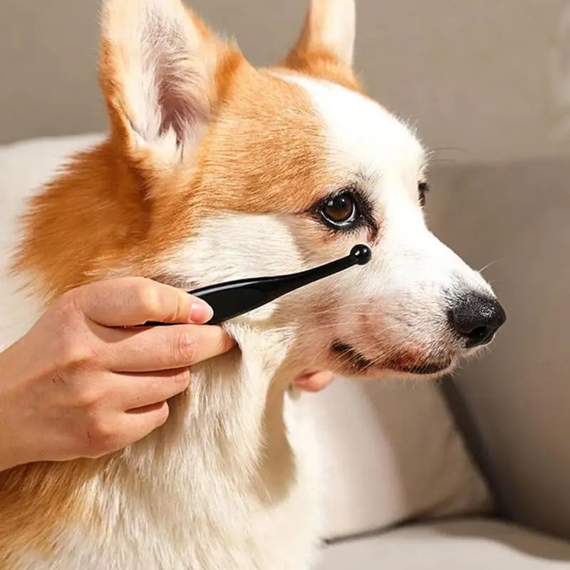 Eye Propowder Applicator Brush For Dog Cat Use Safely Evenly Apply Tear Stain Powder Washable Superfine Fiber Grooming Comb