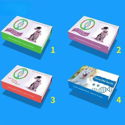 Veterinary Diagnostic Dna Collection test Swab Tube Kit Birds Cat Pet Canine Dna test Microbiology Test Kit