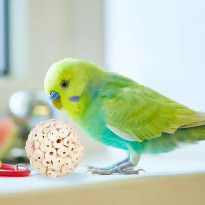 インコの噛むおもちゃボール チューシュレッド 採餌用 鳥​​かごアクセサリー インコ、ラブバード、セキセイインコ、コニュア、オカメインコ用