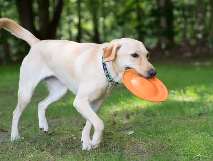 HERO Dog Toys Flying Disc Squeaky Interactive Dog Toy Suitable for Medium or Large Dogs