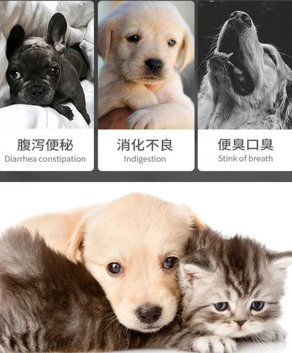 Pet Probiotic Tablets – Digestive & Gut Health for Dogs & Cats