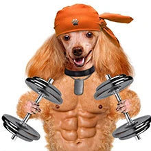 Poursweet 犬用舐めマット 吸​​盤付き スローフィーダー ペットの不安解消 猫の食事、ヨーグルト、ピーナッツバターのトレーニングに