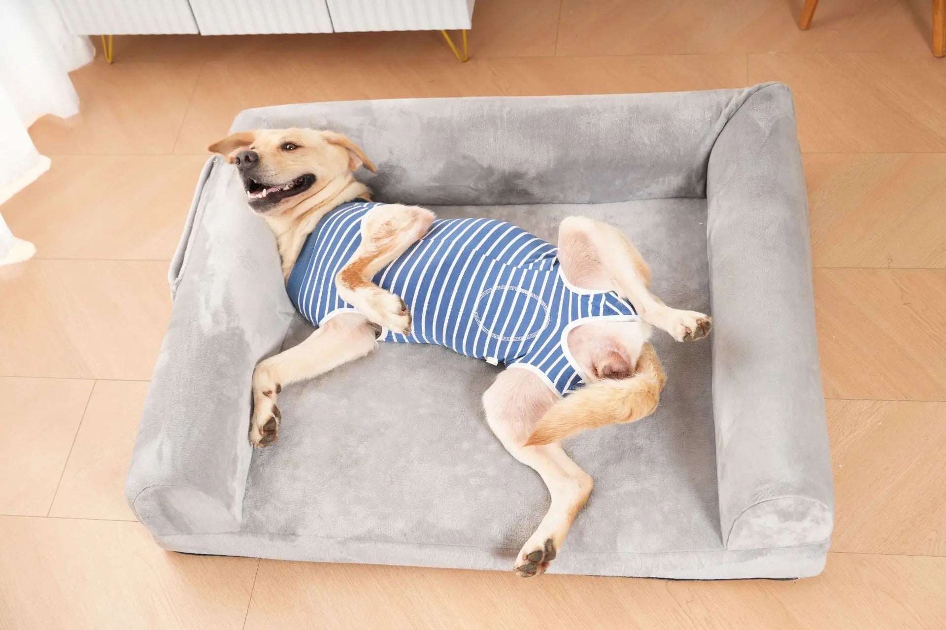 Dog Recovery Suit Abdominal Wound Surgical Clothes Dogs Anti-Licking Pet Onesies Vest Post Surgery Dog Sterilization Suit