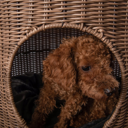 Brown Rattan Cat Cave Bed with Legs, Handwoven Pet Table