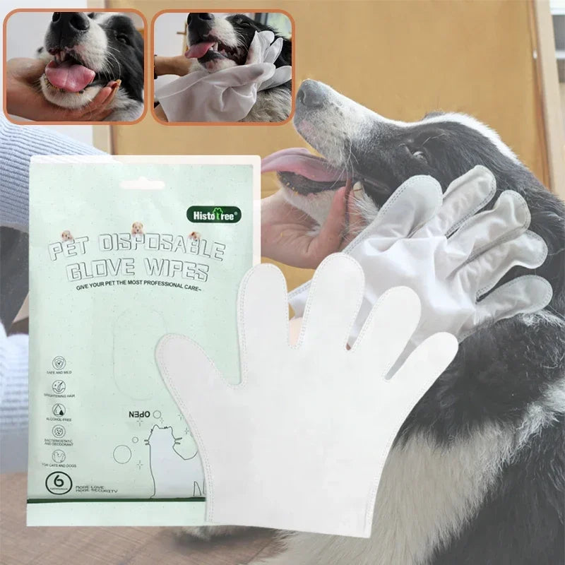 ペット用ボディワイプ 6枚入り すすぎ不要 クリーニンググローブ 猫と犬のグルーミング用 マイルド消臭ワイプ 特別なクリーニングと美容用品