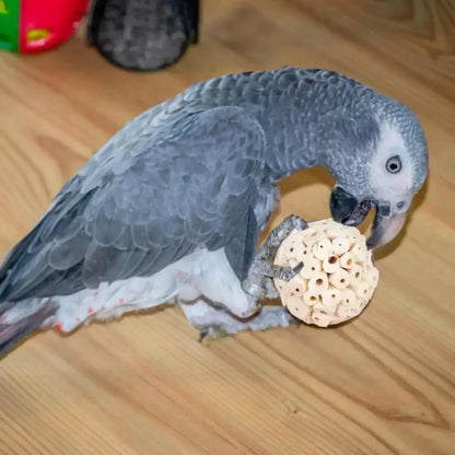 インコの噛むおもちゃボール チューシュレッド 採餌用 鳥​​かごアクセサリー インコ、ラブバード、セキセイインコ、コニュア、オカメインコ用