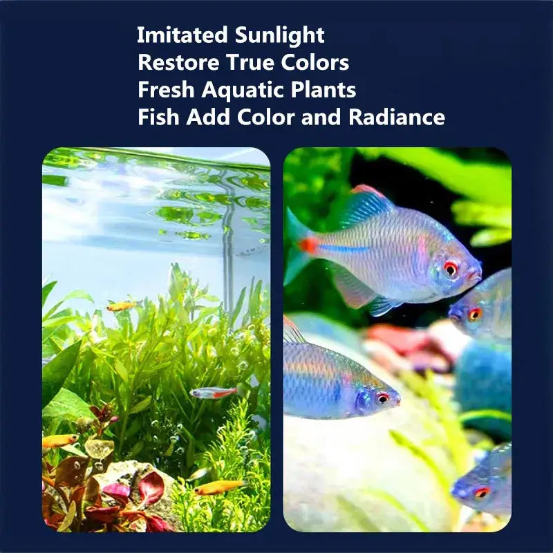 3W 5V USB 水族燈 LED 防水魚缸照明水下魚燈水族箱裝飾植物燈迷你魚缸燈