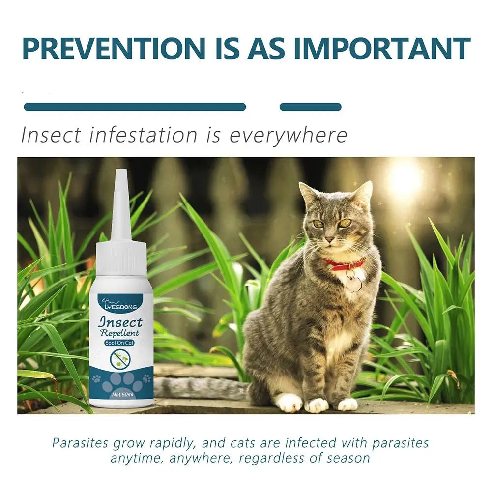 Pet Flea Killer Drops Anti Fleas Cats Ticks Lice Mite Relieve Ringworm Drops Removal Dogs Treatment Removal Pet Itching Ins H8W4