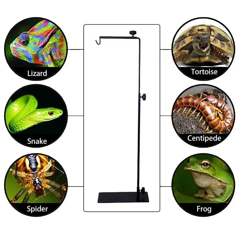 100-240V UVB Animal Heating Lamp Holder E27 UVB Pet Turtle Reptile Light Bulb Bracket Lampshade Emission Lamps