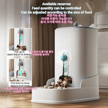 New Pet Cat Large Capacity Water Food Automatic Feeder Drinking Water Supplies Food Container Water Dispenser Dry Wet Separation