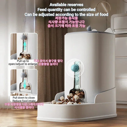 New Pet Cat Large Capacity Water Food Automatic Feeder Drinking Water Supplies Food Container Water Dispenser Dry Wet Separation