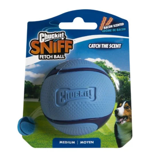 ChuckIt Sniff Fetch Ball Dog Toy Medium