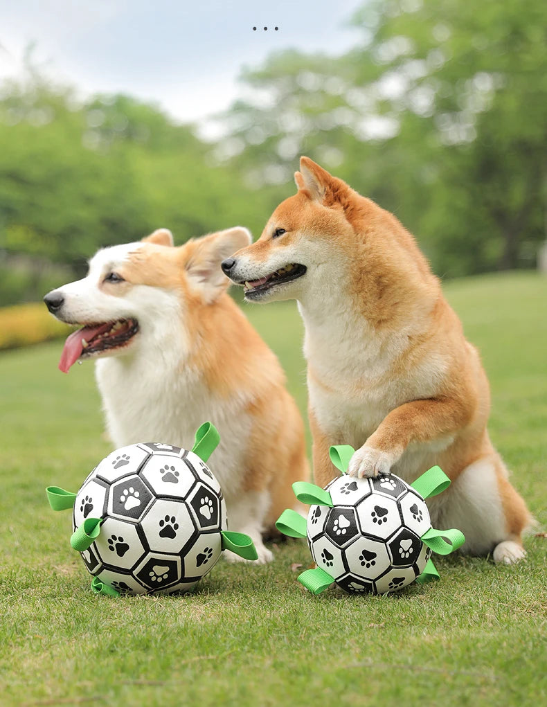 Kimpets Dog Interactive Football Toys Children Soccer Dog Outdoor Training Balls Dog Sporty Bite Chew Teething Ball Pet Supplies