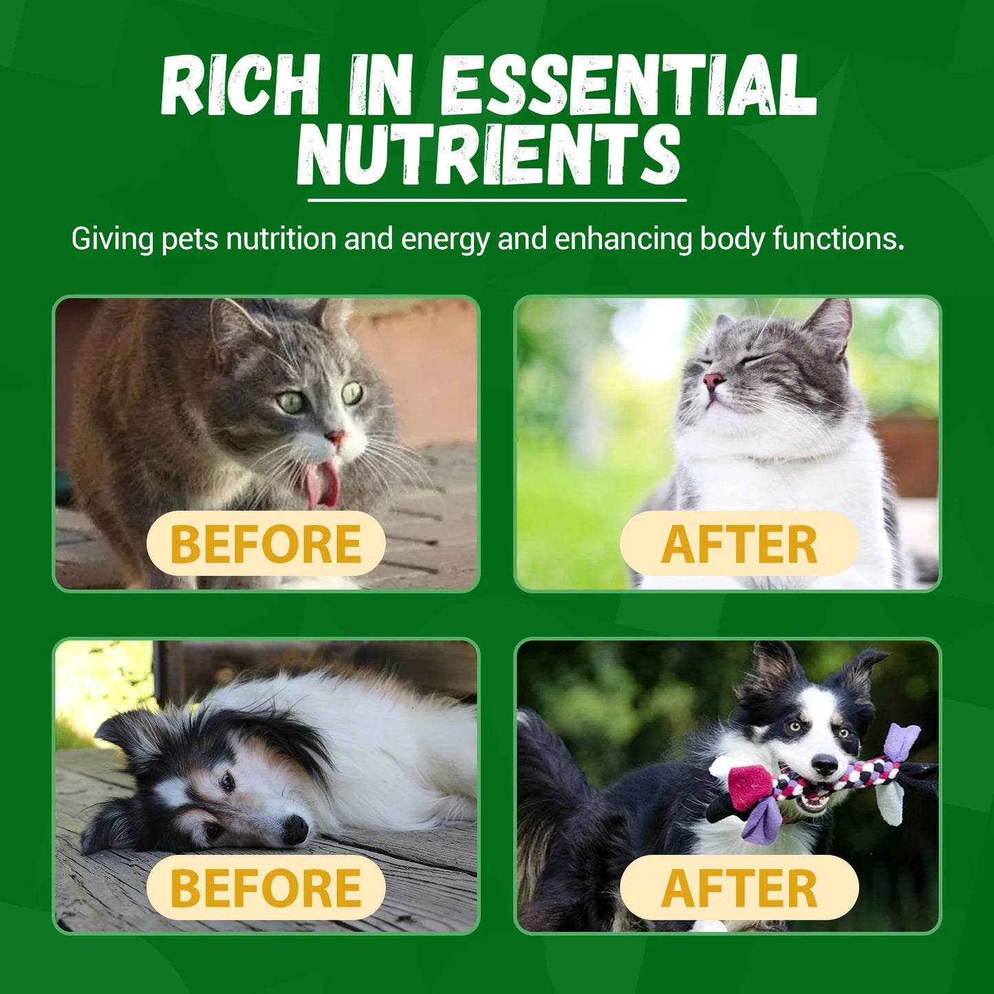 Yegbong Pet Kidney Drops Kidney Stone Removal Urinary Tract Care Maintain Urinary System Anti Inflammation Dog Health Supplement