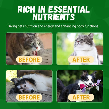 Yegbong Pet Kidney Drops Kidney Stone Removal Urinary Tract Care Maintain Urinary System Anti Inflammation Dog Health Supplement