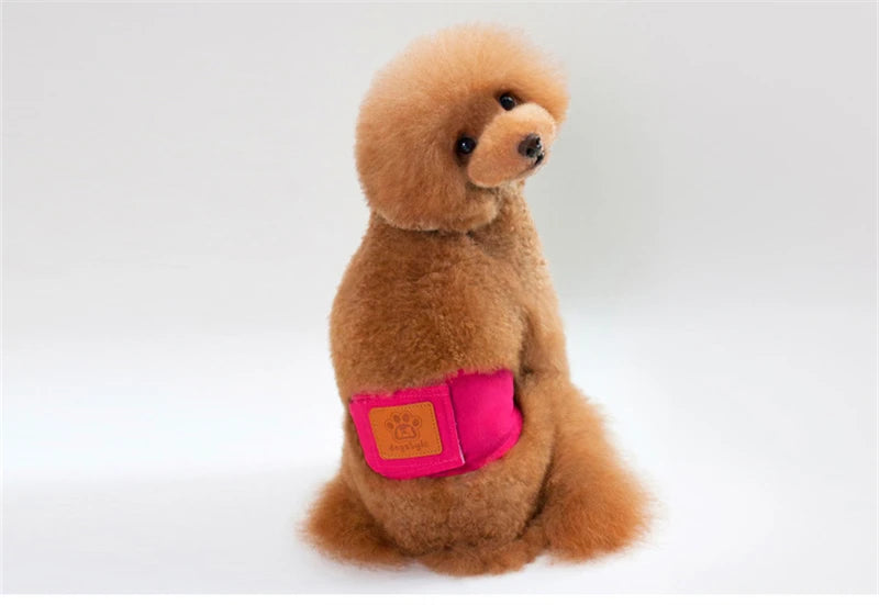 Solid Color Male Dog Diapers – Washable Cotton Dog Shorts