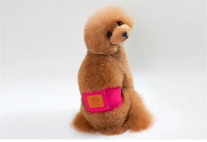 Solid Color Male Dog Diapers – Washable Cotton Dog Shorts