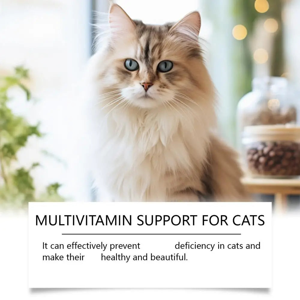 Nutrition Health Products For Cat Health Care Product For Cat Health Products For Cats Supplementing Nutrition For Elderly Cats