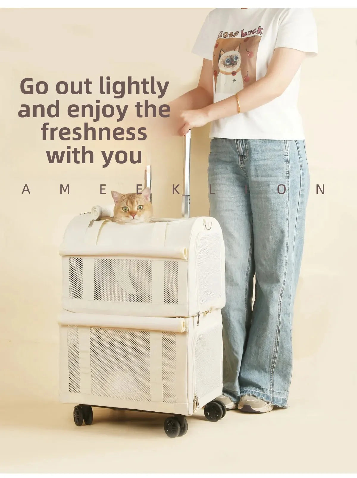 High Aesthetic Pet Trolley Box 2-layers Design Cat Basket Breathable Comfortable Transport Case Convenient Travel Pet Trolley